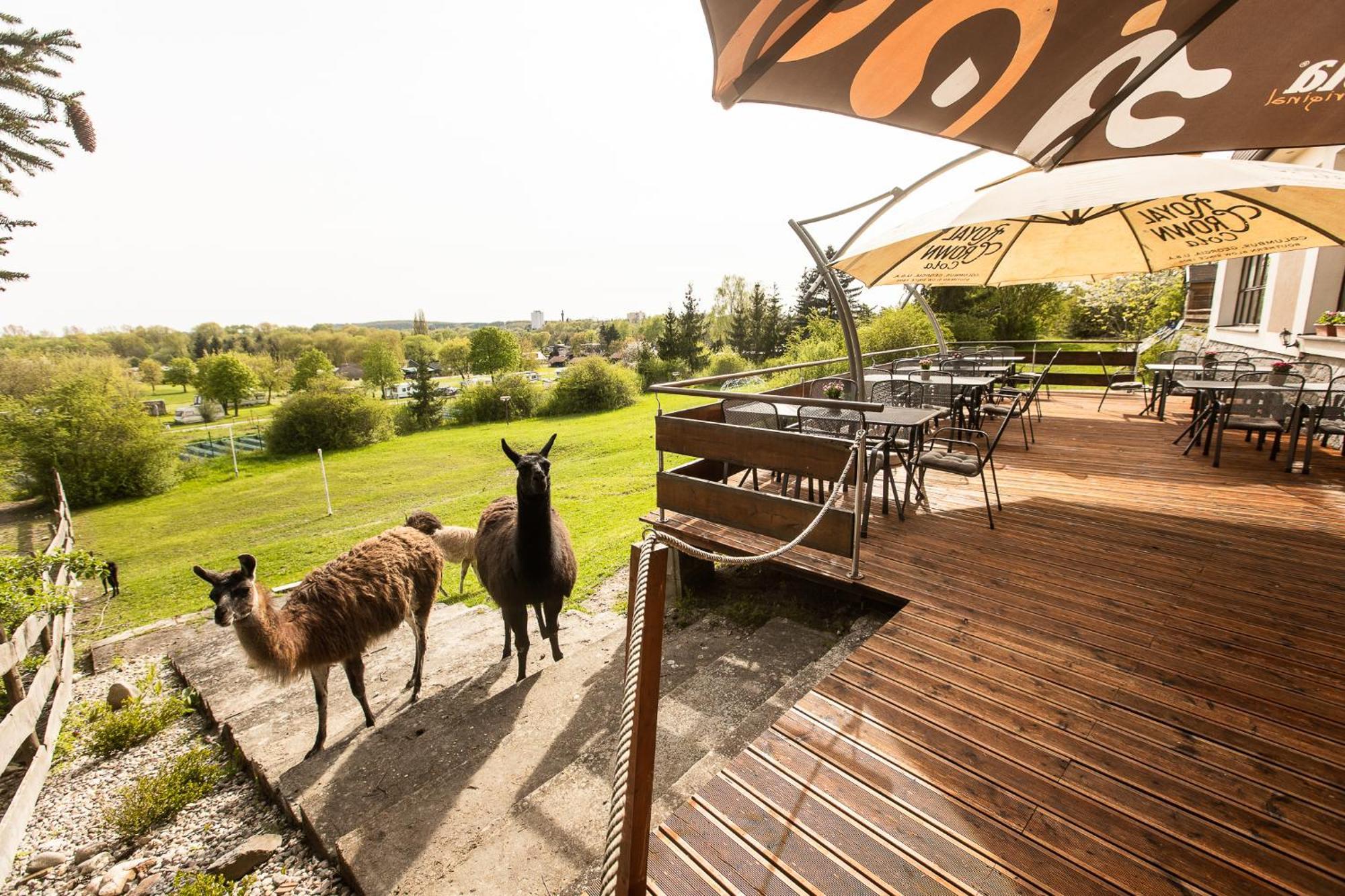 Hotel Rozkos Česká Skalice Eksteriør bilde